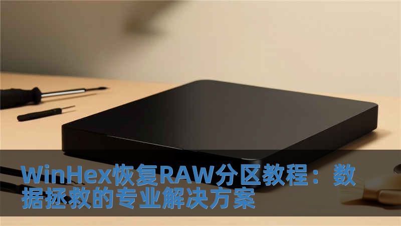 WinHex恢復RAW分區教程：數據拯救的專業解決方案