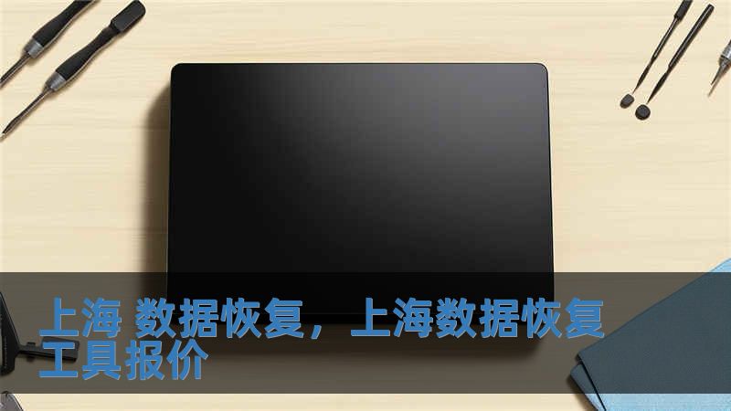 上海 數據恢復，上海數據恢復工具報價