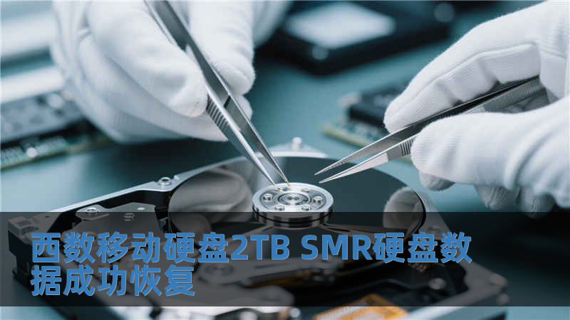 西數移動硬盤2TB SMR硬盤數據成功恢復