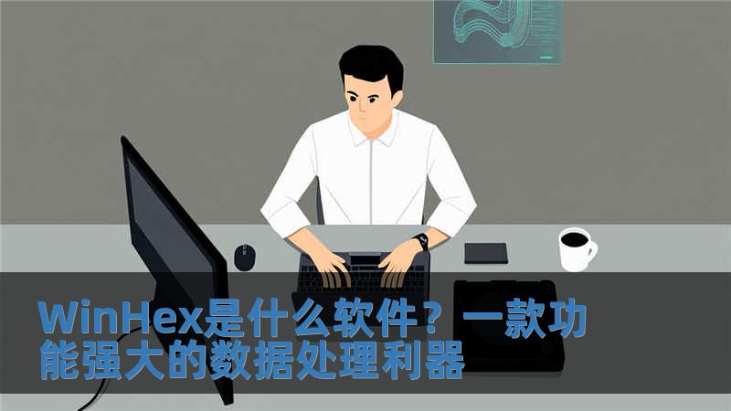 WinHex是什么軟件？一款功能強大的數據處理利器