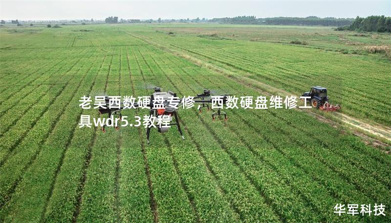 老吳西數(shù)硬盤專修,西數(shù)硬盤維修工具wdr5.3教程 老吳西數(shù)硬盤專修,西數(shù)硬盤維修工具wdr5.3教程